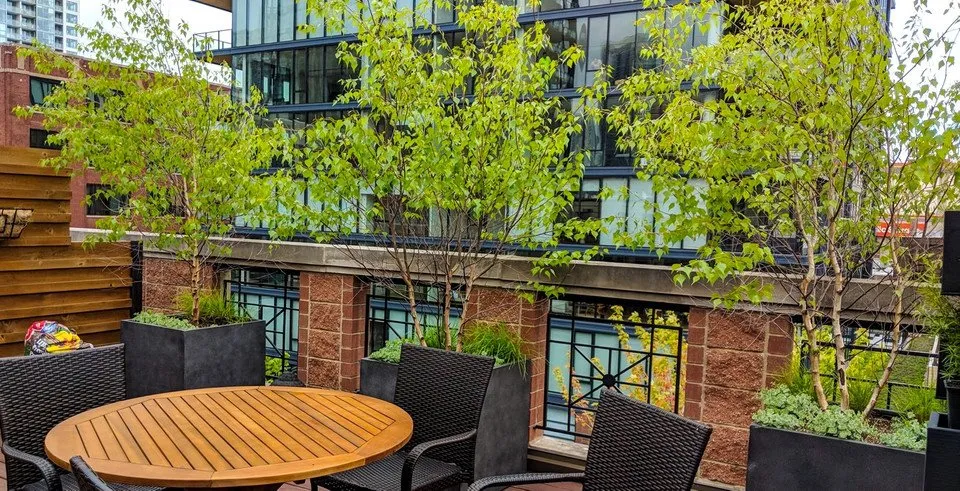 Custom landscape installation in Mt. Prospect, IL by Wave Outdoors Landscape + Design