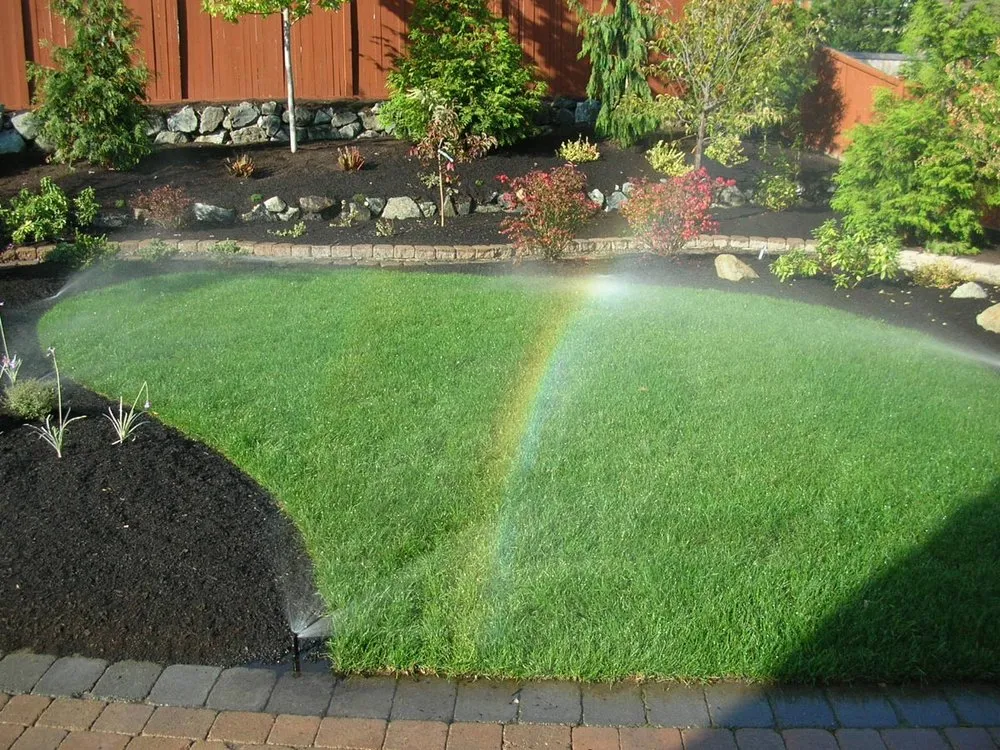 Expert residential landscaping for beautiful yards across Alpine, CA - Wavescape Irrigation and Landscape