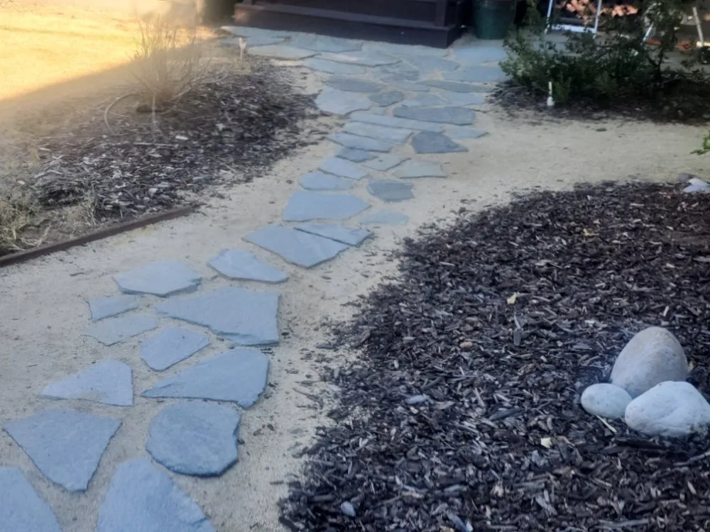 Reliable yard cleanup service experts serving Alpine, CA - Wavescape Irrigation and Landscape