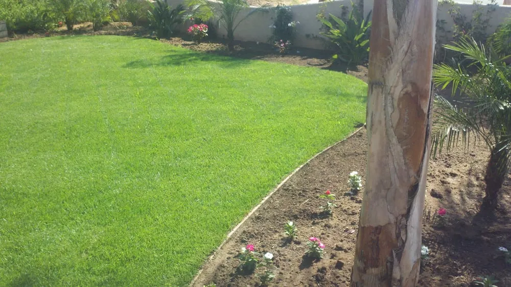 Reliable residential landscaping with custom design across Alpine, CA - Wavescape Irrigation and Landscape