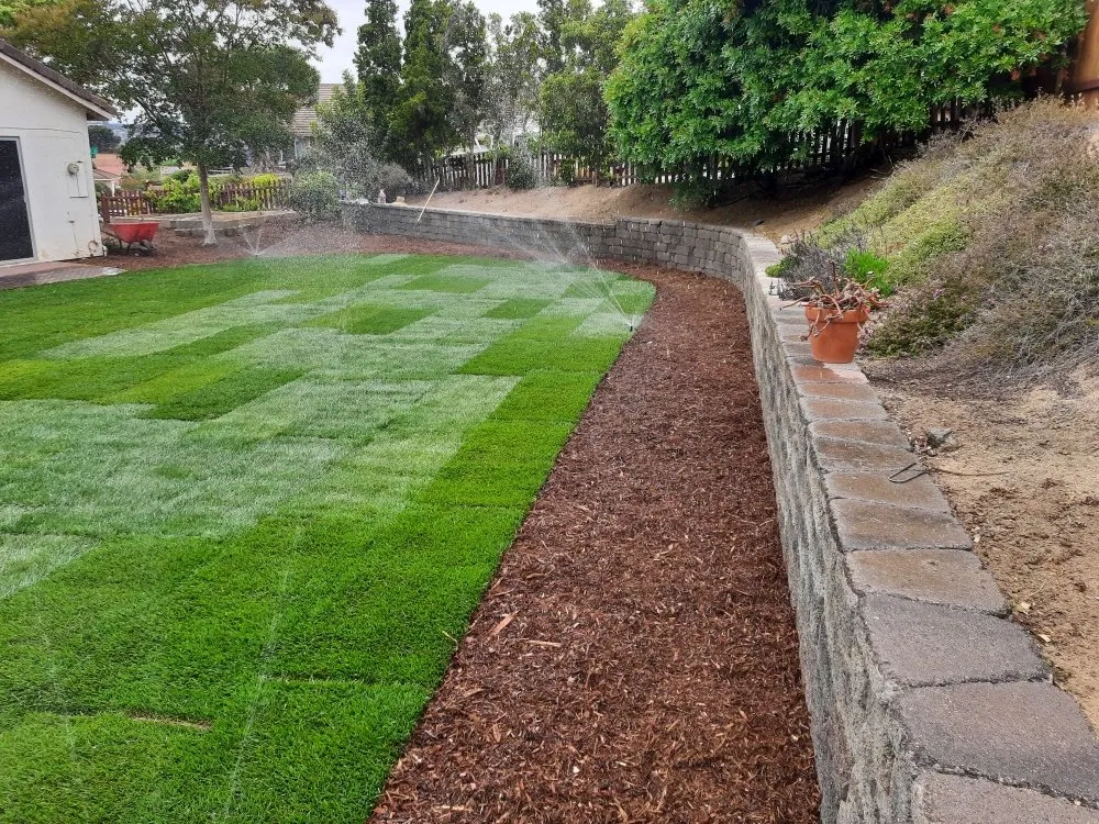 Expert outdoor landscaping in Alpine, CA - Wavescape Irrigation and Landscape