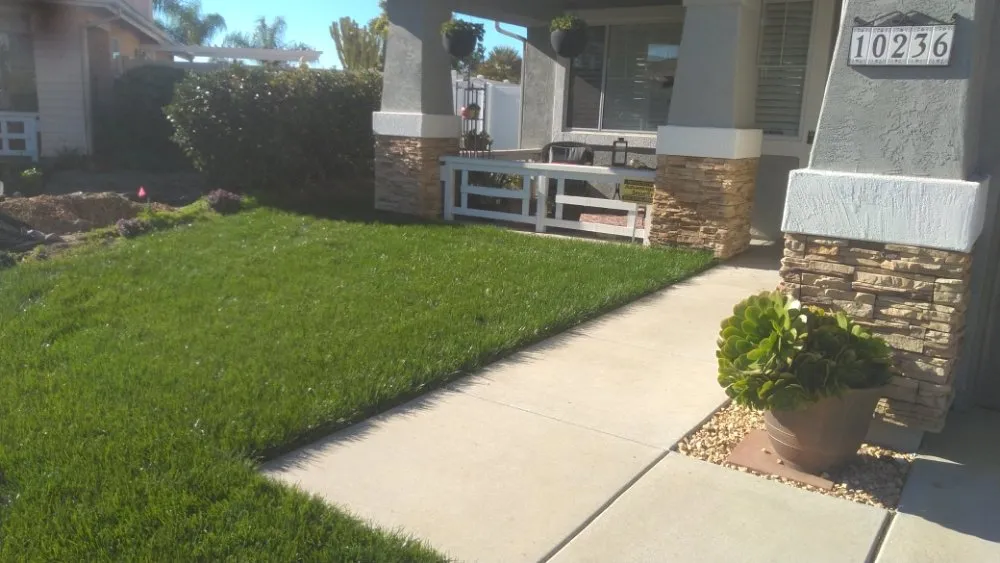 Custom landscaping services experts serving Alpine, CA - Wavescape Irrigation and Landscape