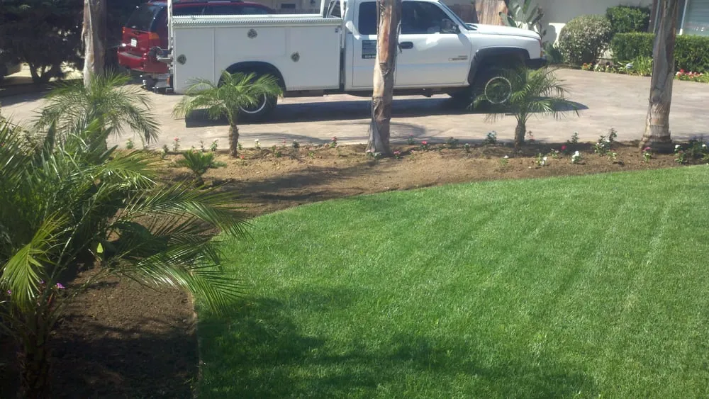 Expert landscaping services in Alpine, CA - Wavescape Irrigation and Landscape