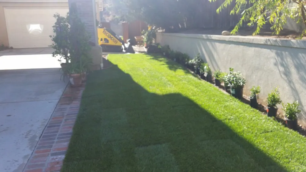 Trusted lawn care service in Alpine, CA - Wavescape Irrigation and Landscape
