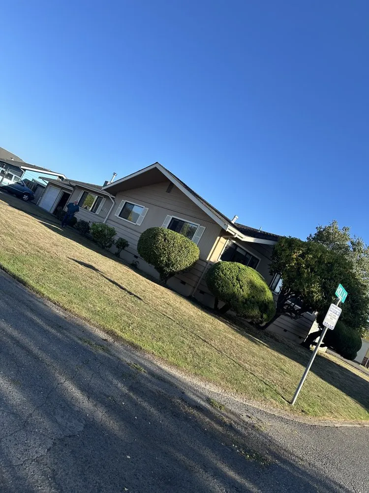 Trusted landscape installation for homes in Fortuna, CA by Wavy Ivan