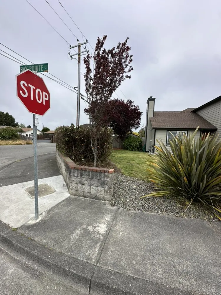 Custom outdoor landscaping experts serving Fortuna, CA - Wavy Ivan