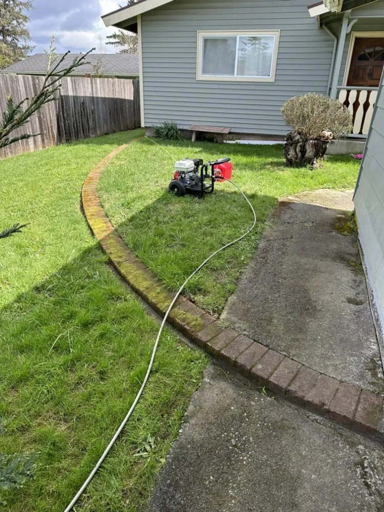 Local yard maintenance experts serving Fortuna, CA - Wavy Ivan