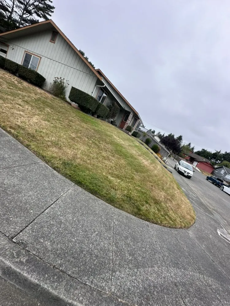 Professional garden landscaping with custom design across Fortuna, CA - Wavy Ivan