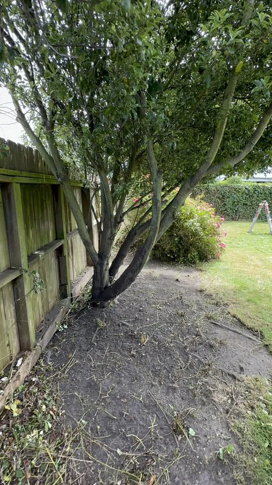 Top-rated residential landscaping in Fortuna, CA by Wavy Ivan