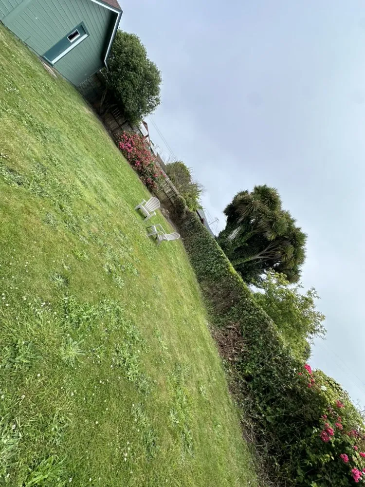 Local landscape design for residential properties across Fortuna, CA - Wavy Ivan