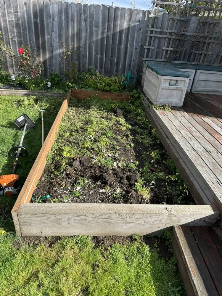 Expert landscape installation for residential properties in Fortuna, CA by Wavy Ivan