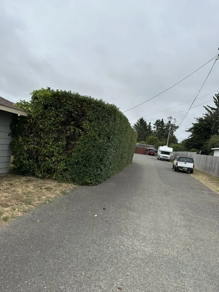 Affordable residential landscaping experts serving Fortuna, CA - Wavy Ivan