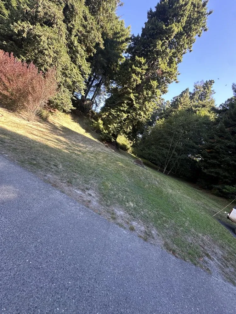Local lawn mowing service for residential properties in Fortuna, CA by Wavy Ivan