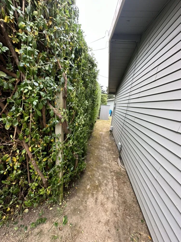 Local yard maintenance in Fortuna, CA - Wavy Ivan