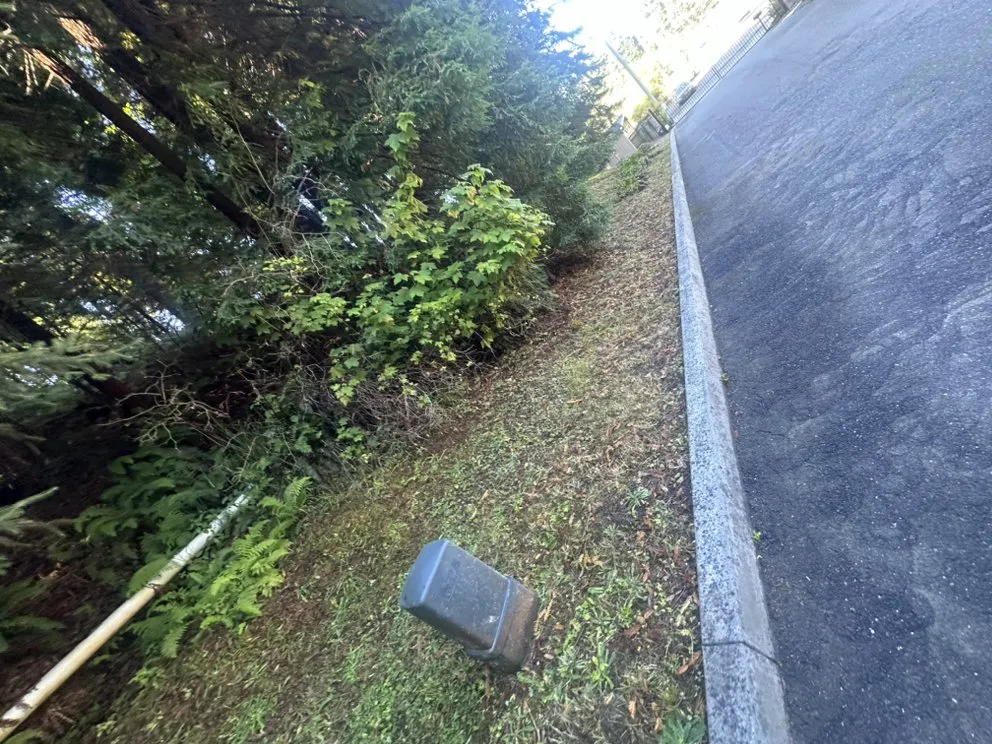 Custom lawn mowing service near you across Fortuna, CA - Wavy Ivan