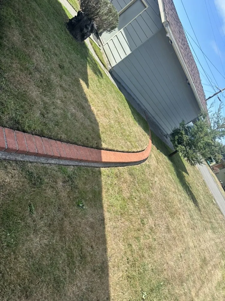 Affordable lawn mowing service in Fortuna, CA by Wavy Ivan