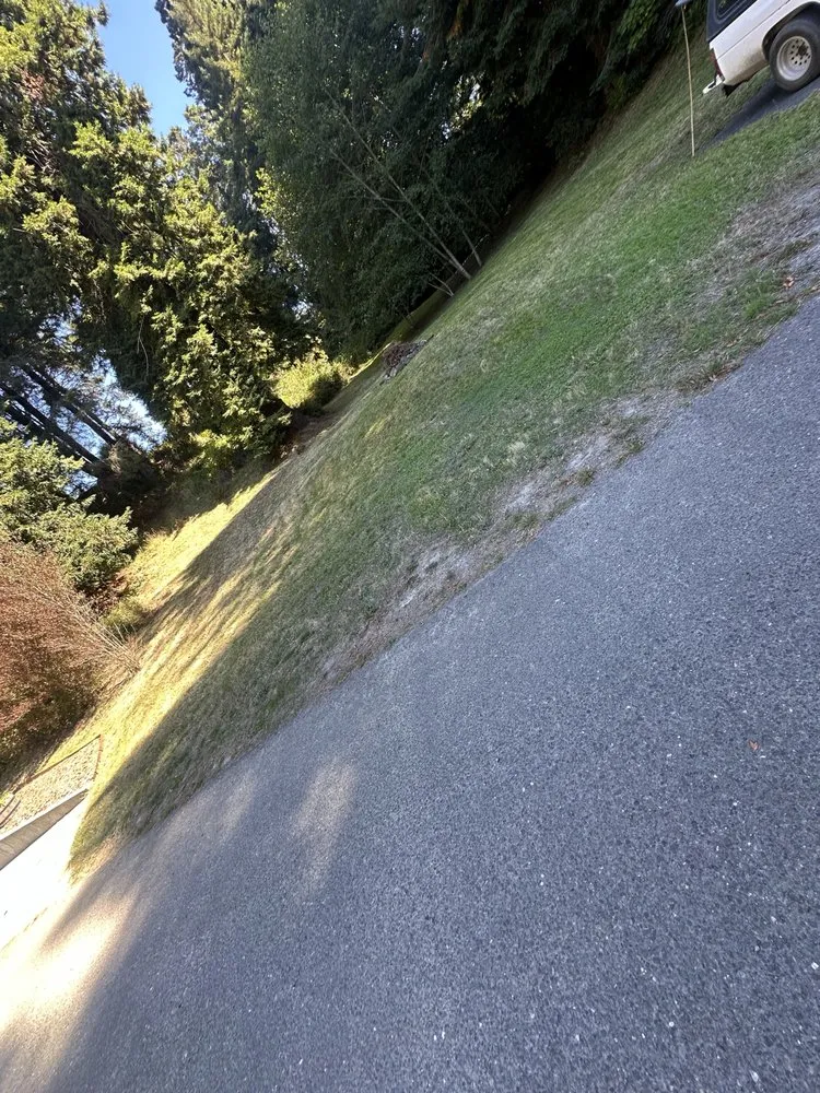 Trusted landscaping services for beautiful yards across Fortuna, CA - Wavy Ivan