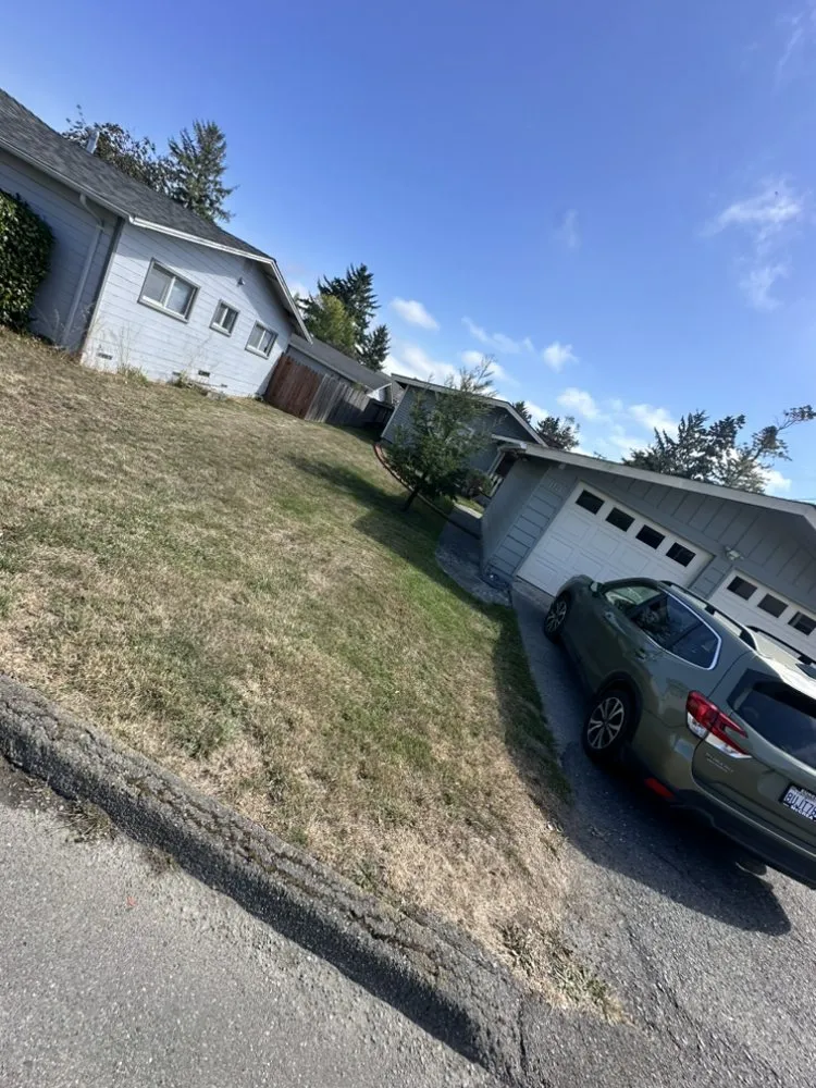 Custom garden landscaping for beautiful yards across Fortuna, CA - Wavy Ivan