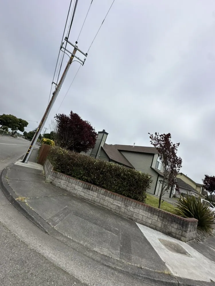 Custom landscaping services in Fortuna, CA by Wavy Ivan