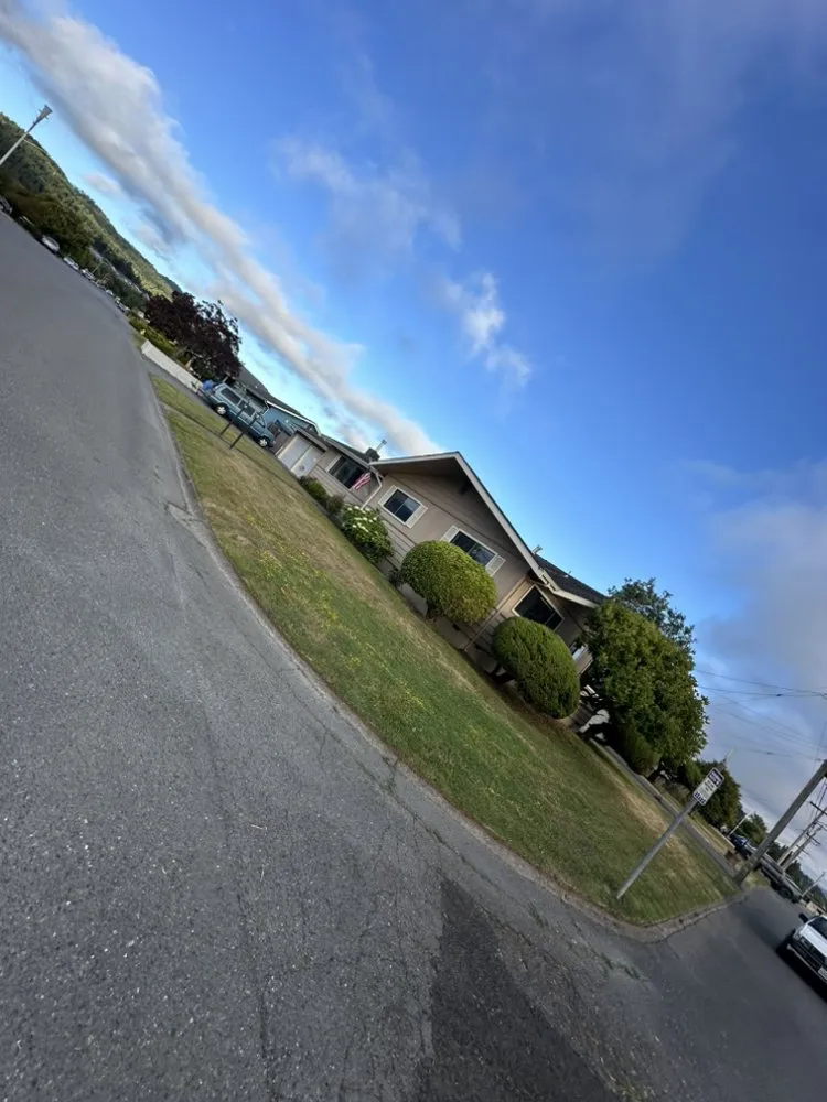 Professional lawn mowing service in Fortuna, CA - Wavy Ivan