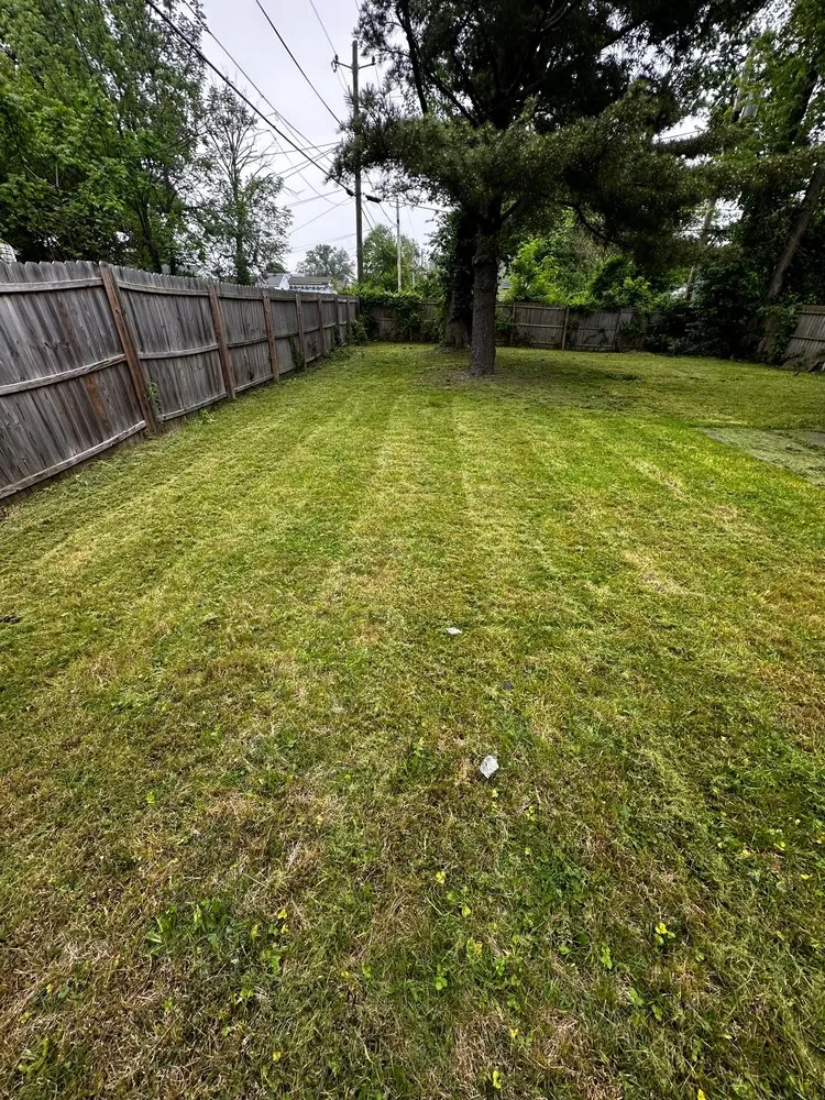 Trusted landscaping services experts serving Indianapolis, IN - Wavy Lawn Service