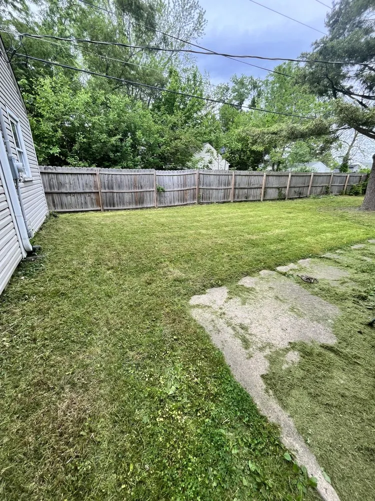 Top-rated lawn mowing service in Indianapolis, IN by Wavy Lawn Service