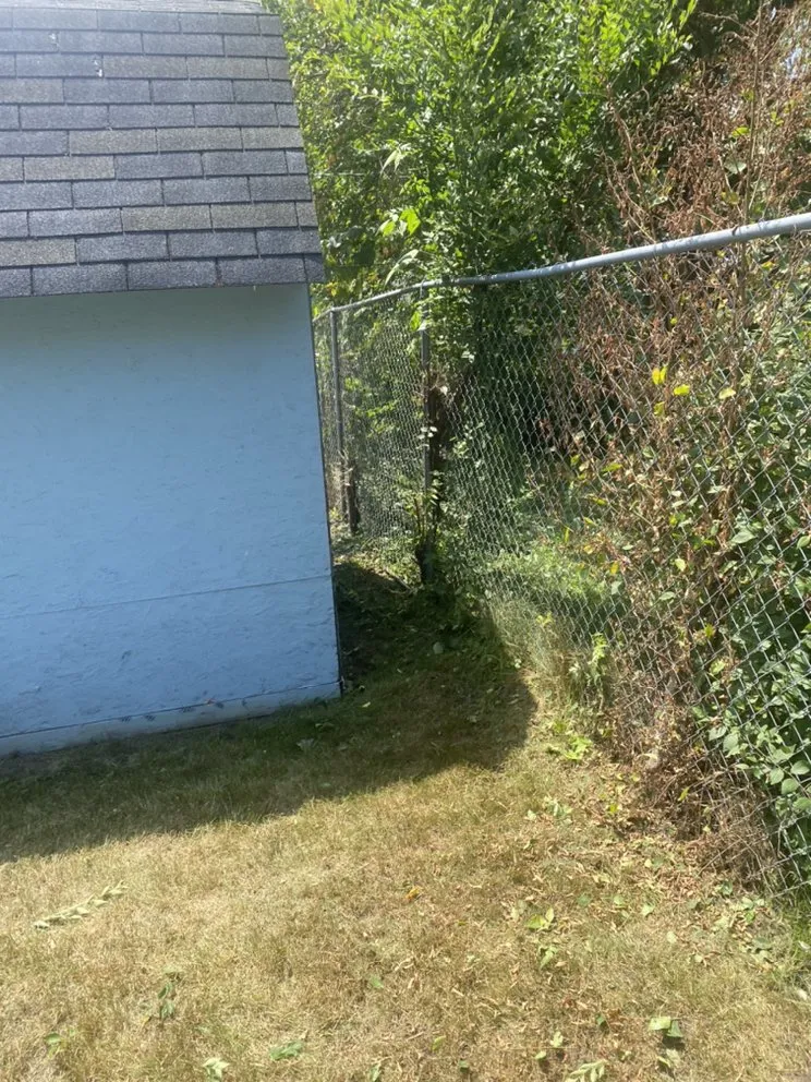 Custom landscape design in Gary, IN - Wax Monkey