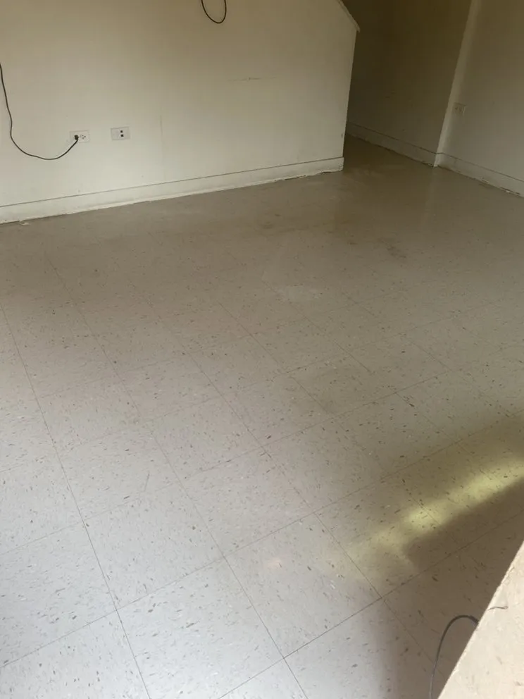 Trusted yard cleanup service experts serving Gary, IN - Wax Monkey