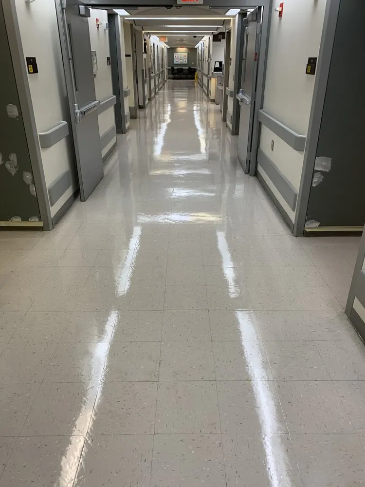 Professional yard cleanup service for beautiful yards across Gary, IN - Wax Monkey