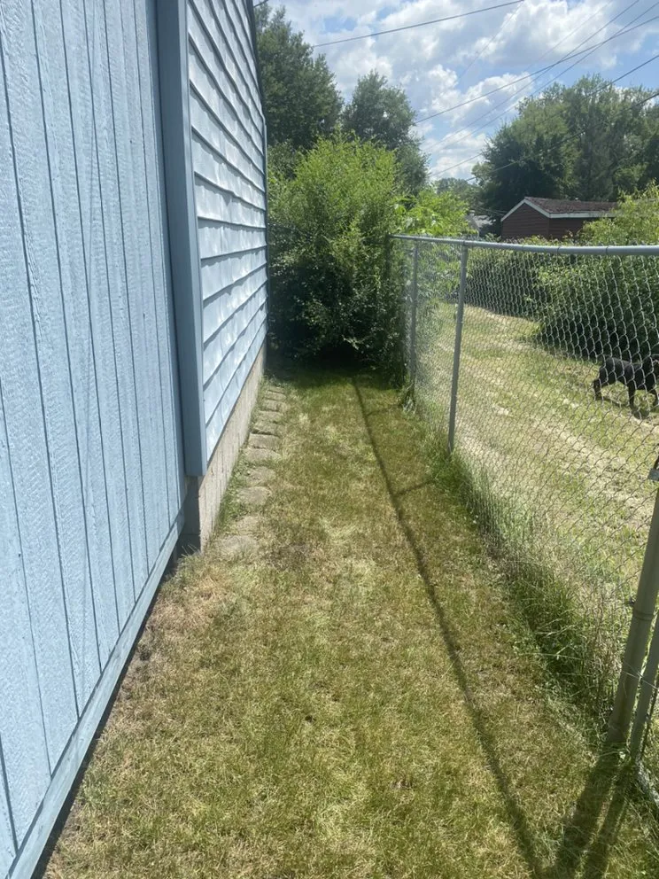 Trusted landscaping services in Gary, IN by Wax Monkey