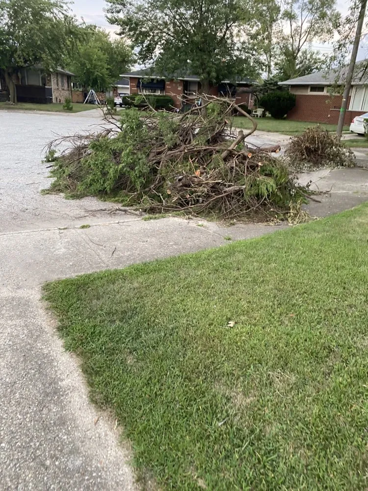 Professional yard cleanup service near you in Gary, IN by Wax Monkey