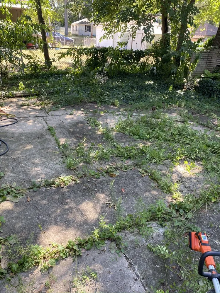 Custom landscape design experts serving Gary, IN - Wax Monkey