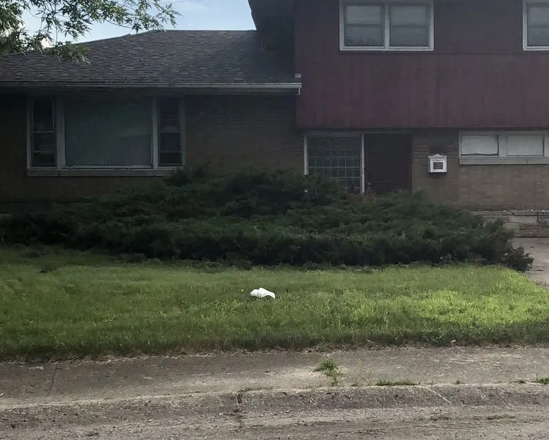 Reliable outdoor landscaping in Gary, IN by Wax Monkey