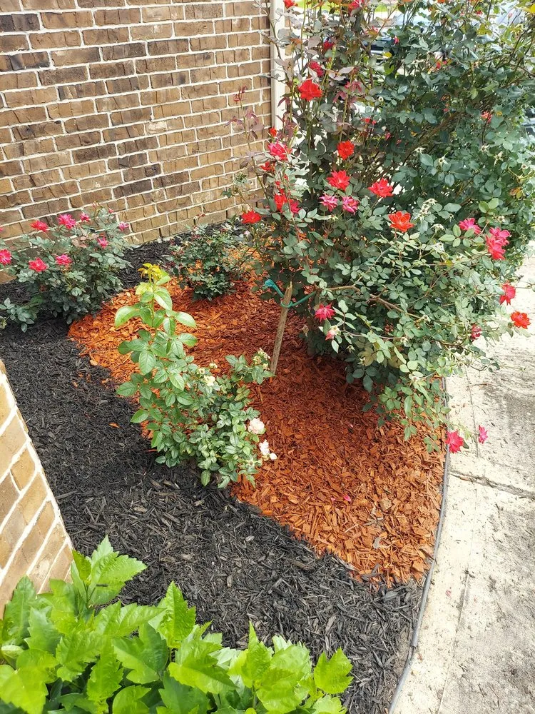 Local residential landscaping in Houston, TX by Way Too Real Cuts, Landscaping and More