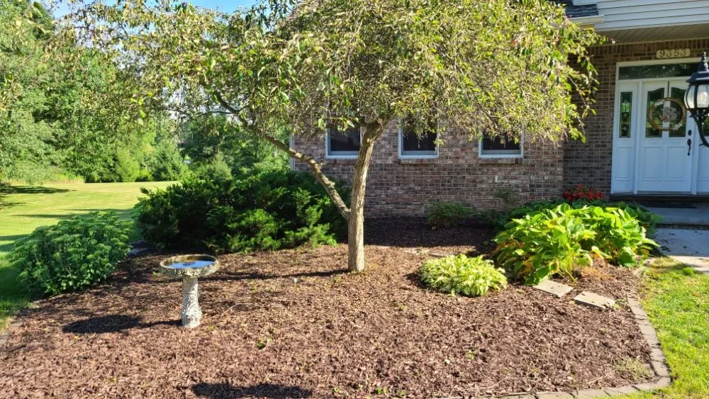 Trusted lawn mowing service for homes across Swartz Creek, MI - Waybrant and Son Landscaping