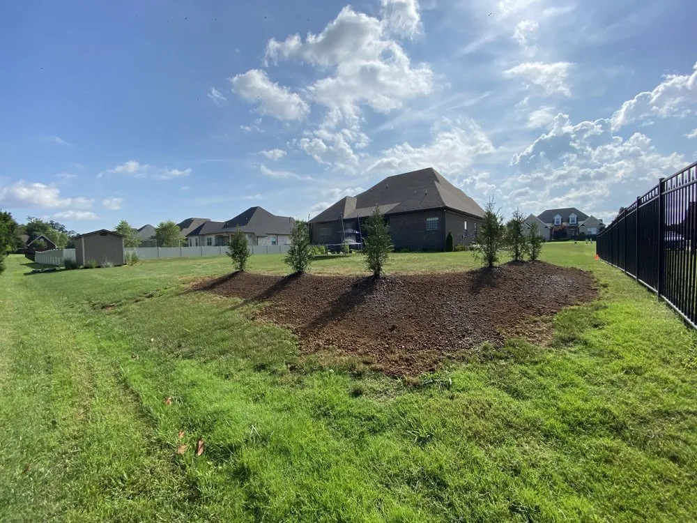 Trusted yard maintenance in Lascassas, TN - Wayman's Lawn Care Services