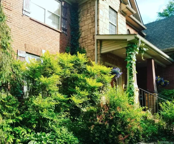 Custom landscape installation for outdoor upgrades across Lascassas, TN - Wayman's Lawn Care Services