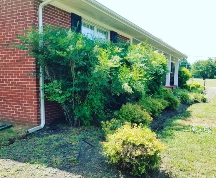 Expert residential landscaping in Lascassas, TN by Wayman's Lawn Care Services