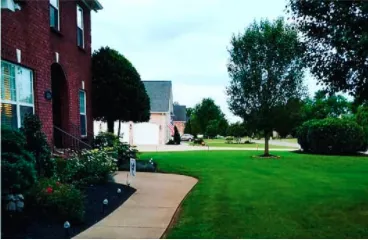 Expert landscape installation in Lascassas, TN by Wayman's Lawn Care Services