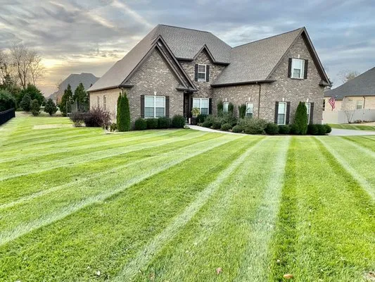 Wayman's Lawn Care Services Logo