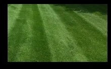 Trusted outdoor landscaping in Colorado Springs, CO - Wayne Russell Lawncare