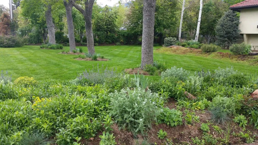 Custom landscaping services experts serving Colorado Springs, CO - Wayne Russell Lawncare