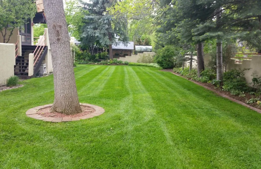 Top-rated landscaping services in Colorado Springs, CO - Wayne Russell Lawncare