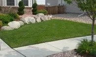 Professional yard cleanup service in Colorado Springs, CO by Wayne Russell Lawncare