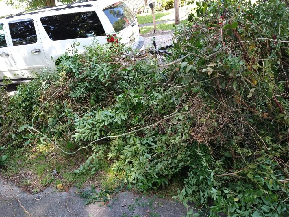 Reliable landscaping services in Dalzell, SC by Wayne Solutions