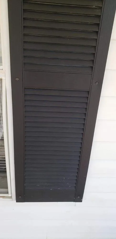 Affordable yard cleanup service experts serving Dalzell, SC - Wayne Solutions