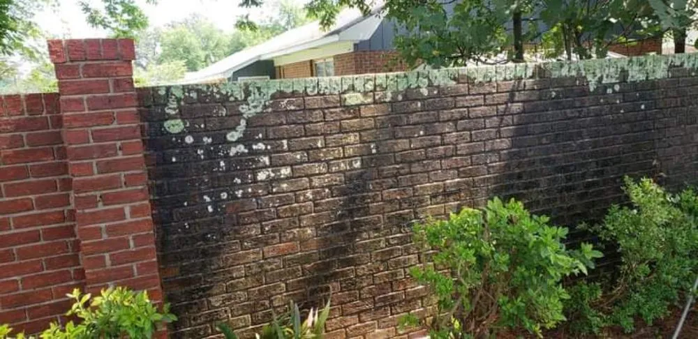 Reliable lawn care service in Dalzell, SC - Wayne Solutions