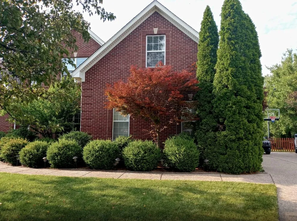 Expert yard maintenance experts serving Louisville, KY - waynes custom landscapping
