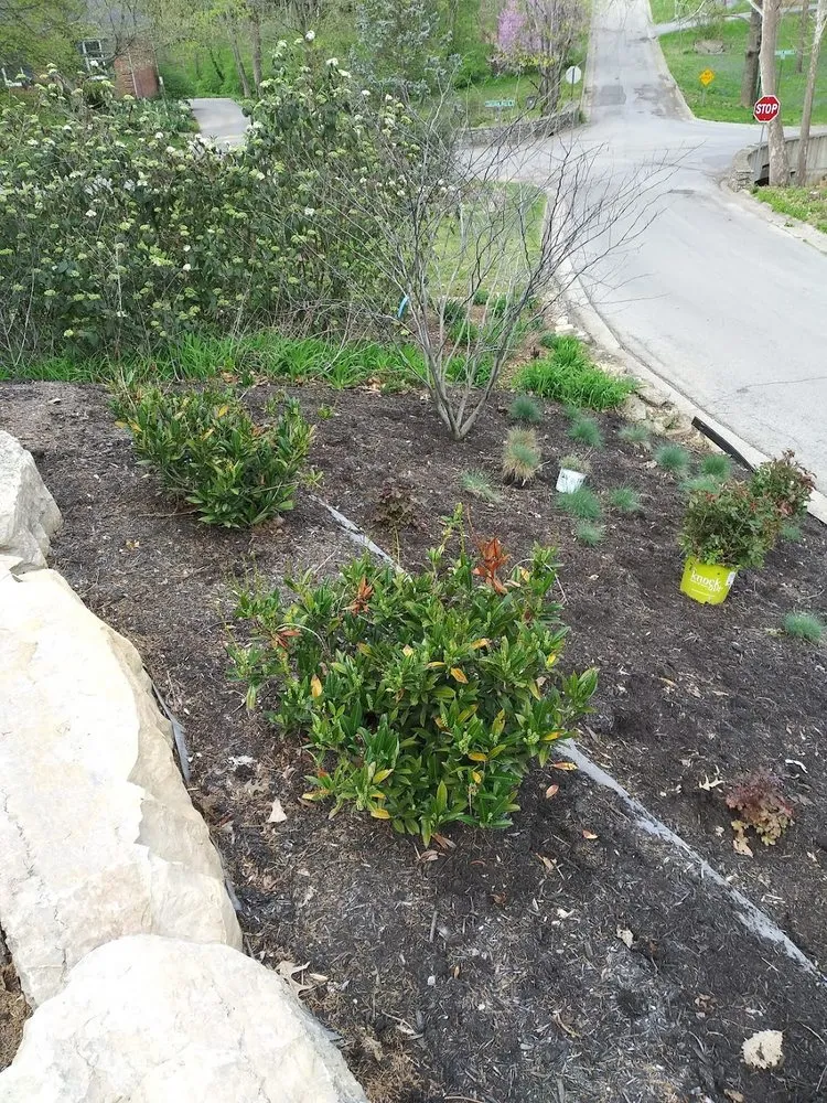 Affordable landscape installation in Louisville, KY by waynes custom landscapping