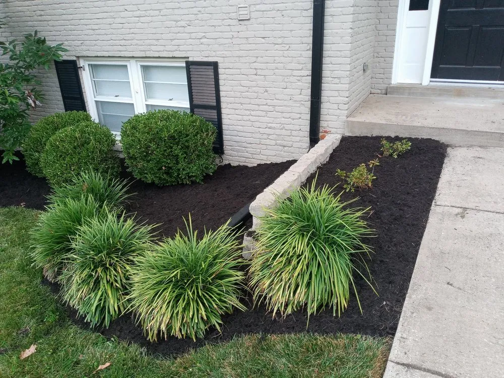 Local lawn care service for outdoor upgrades in Louisville, KY by waynes custom landscapping